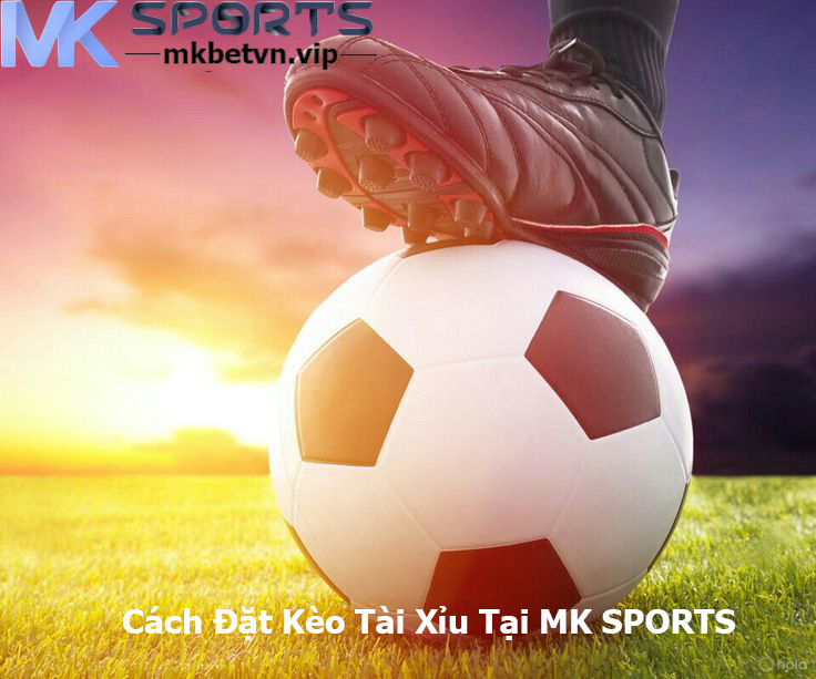 Cách Đặt Kèo Tài Xỉu Tại MK SPORTS