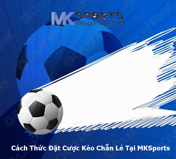 Cách Thức Đặt Cược Kèo Chẵn Lẻ Tại MKSports