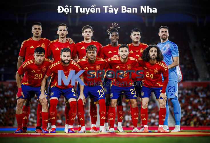 Đội Tuyển Tây Ban Nha